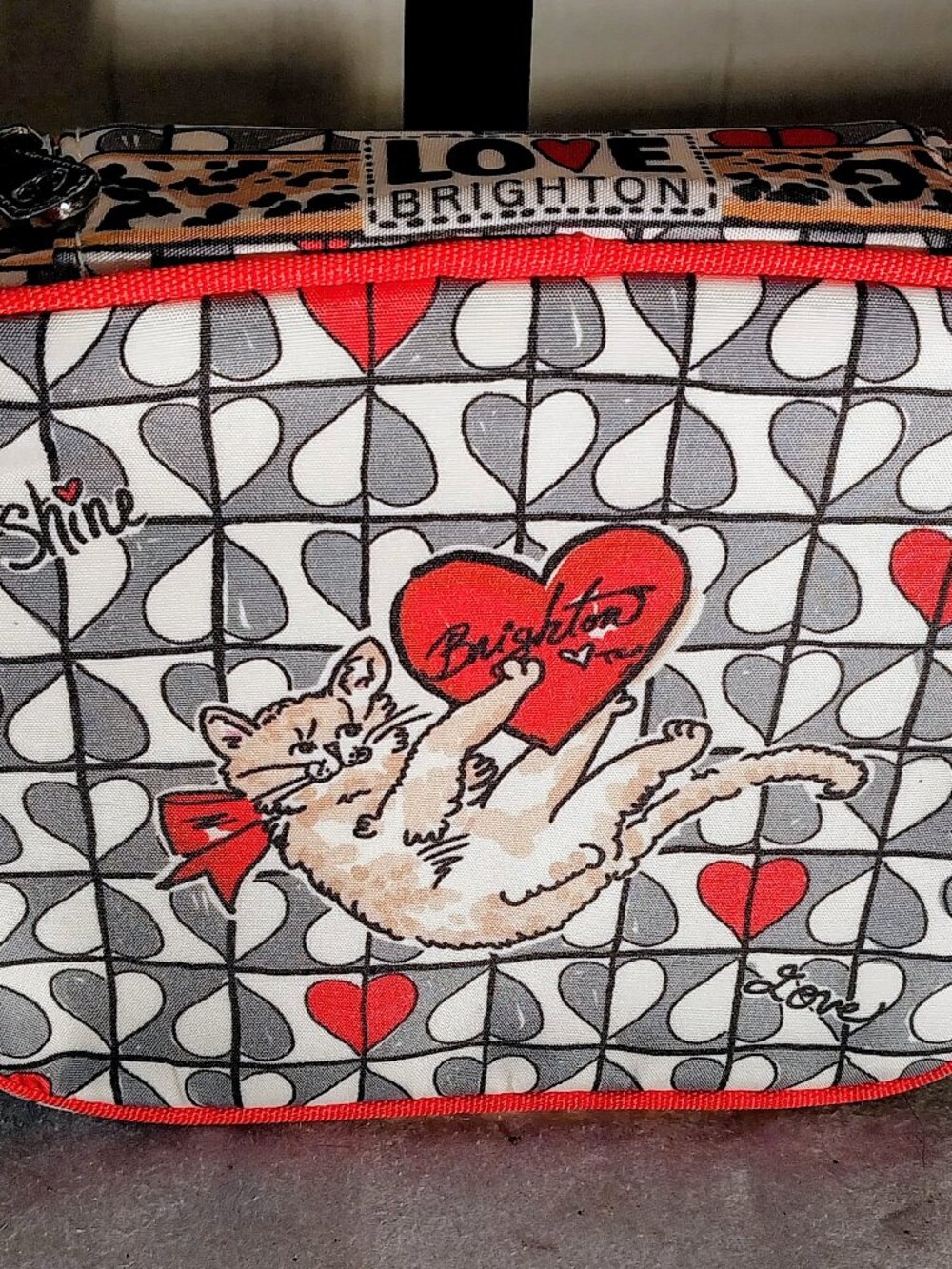 NWT Brighton Wild Love Cosmetic/Jewelry Travel Bag with 2 Pouches 7X6X3